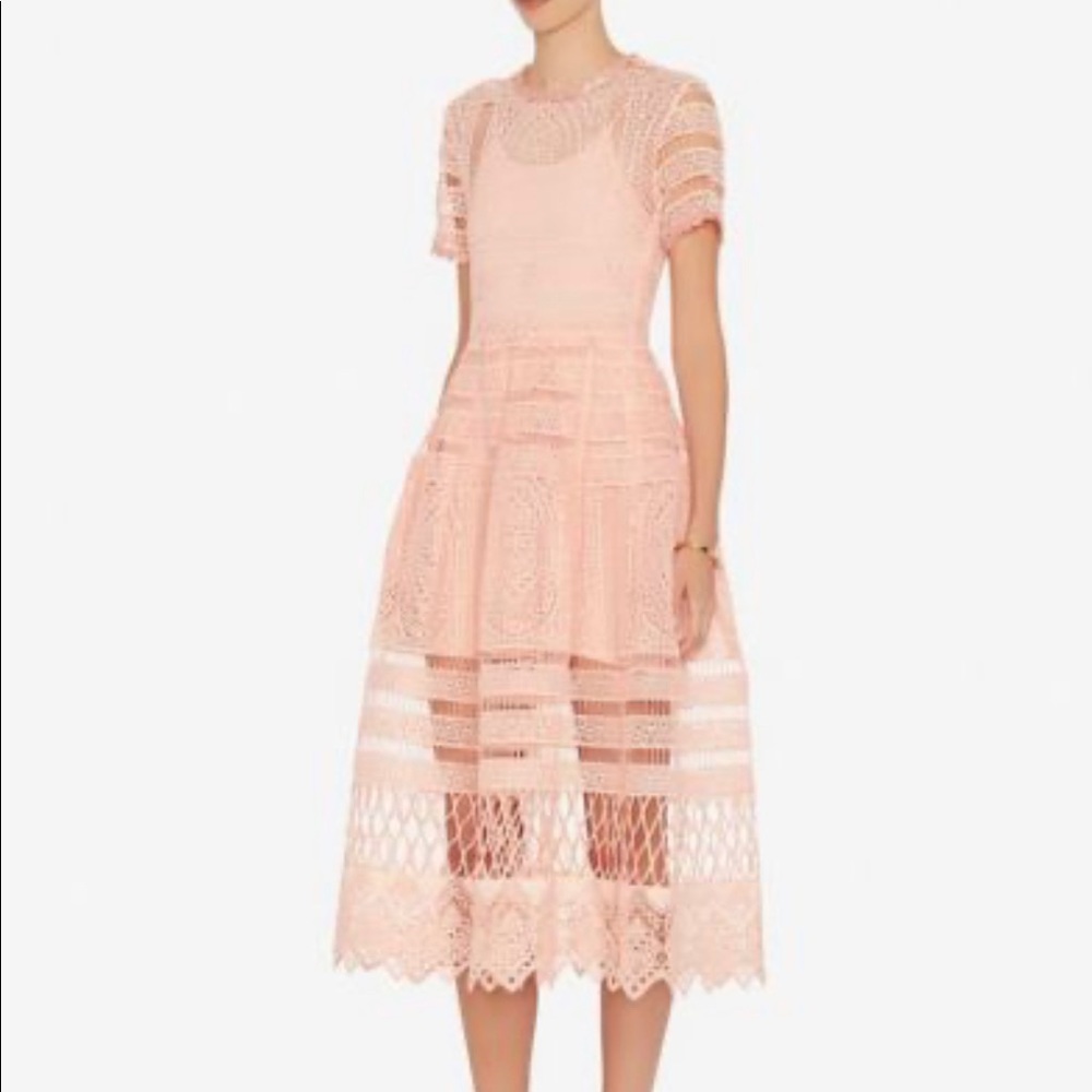 ALEXIS Alanna Embroidered Sheer Pink Midi Dress
